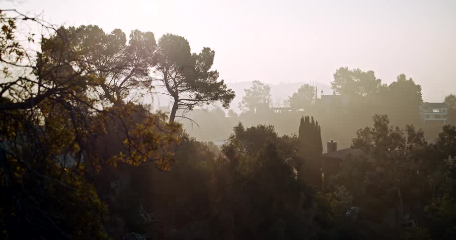 A suburban area with buildings surrounded by trees at sunset