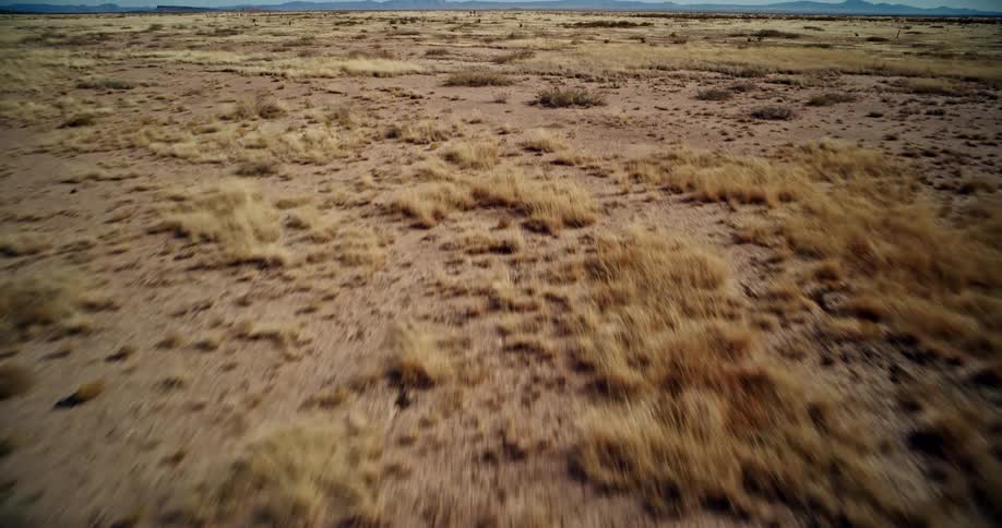 Flat desert landscape with dry vegetation under a deep blue sky