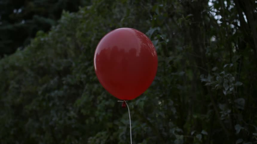 A red balloon floats in front of trees