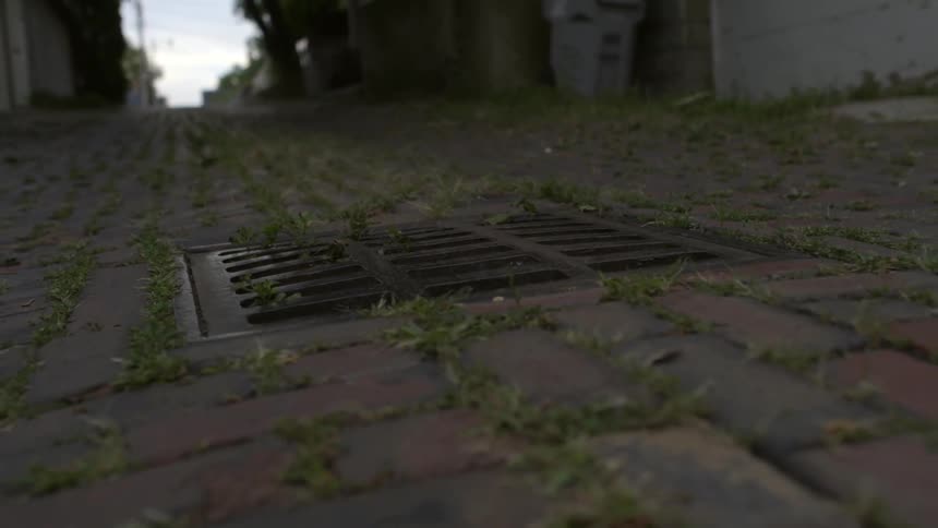 A metal grate is on this road