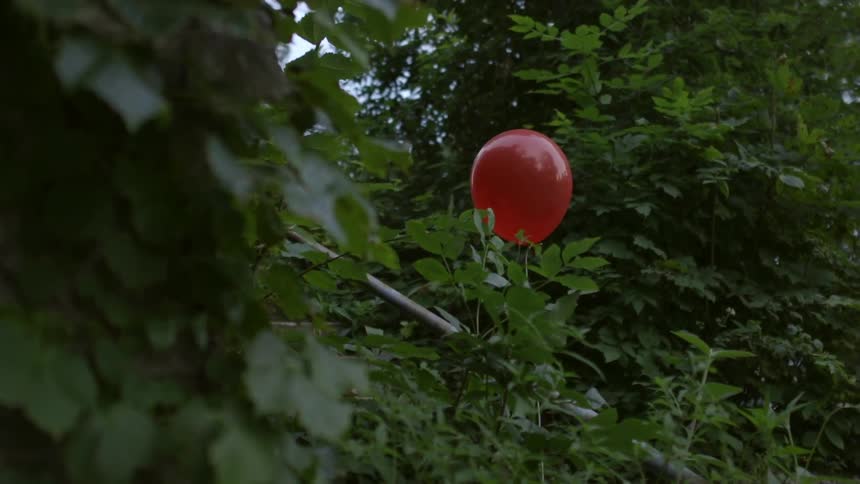 Red balloon floats through the trees