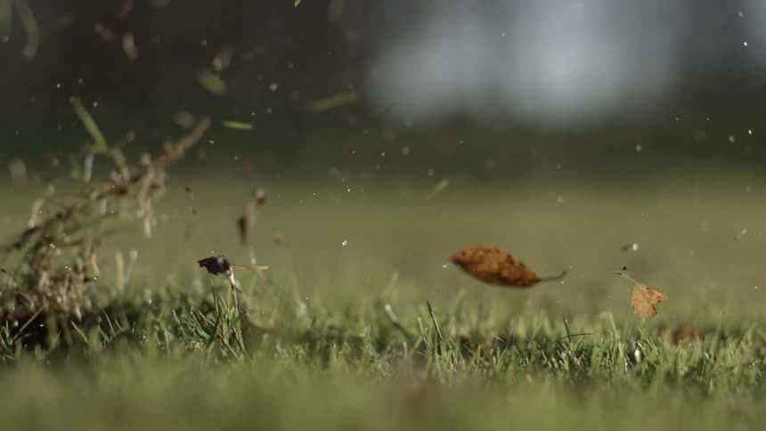 Golf club hitting a golf ball and exciting the grass and leaves around it outdoors during day time