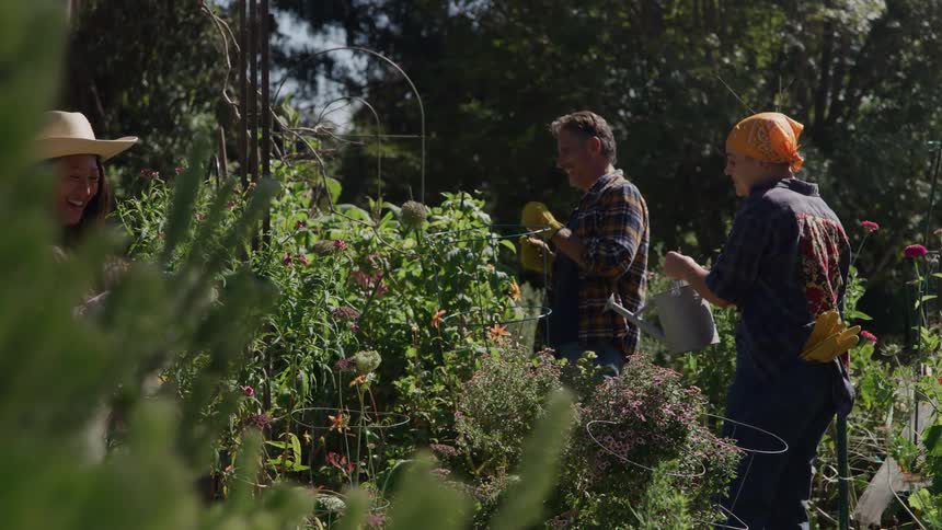 Three people on a farm water the plants on a sunny day smiling and enjoying the process