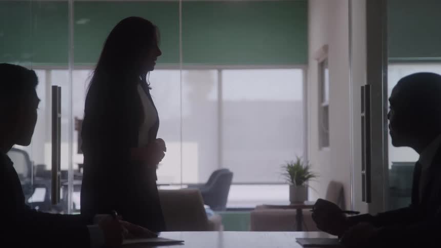 Business people sit and watch a presentation given by a coworker