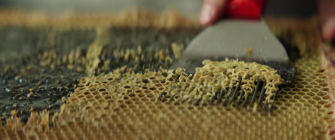 The beekeeper uses a tool to remove wax from the box