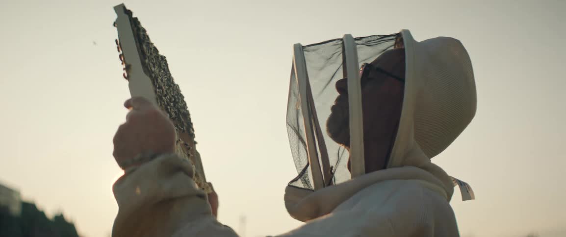 A beekeeper wearing protective gear holds up a honeycomb frame toward the light during a warm sunset