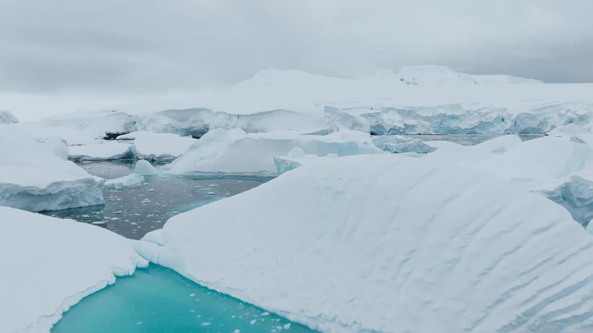 Vast icebergs drift on dark ocean water beneath a cloudy sky