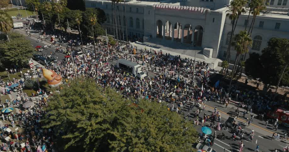 Crowd gathered in a protest in front of a historic building