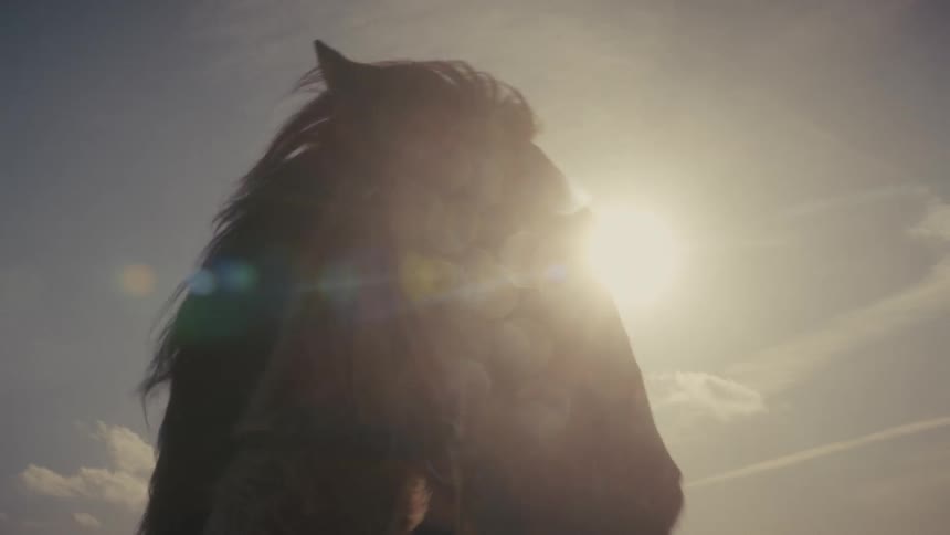 A person is on the back of a horse as the sun is low in the sky