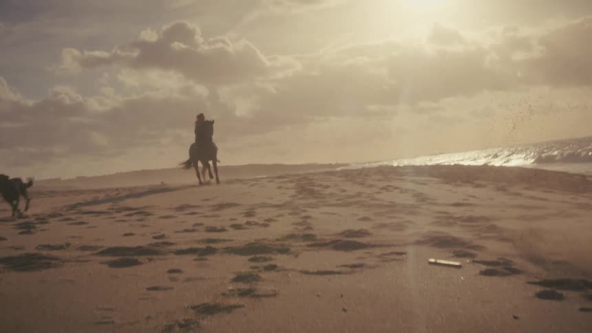 A man and woman are riding horses along a beach as their dog runs along