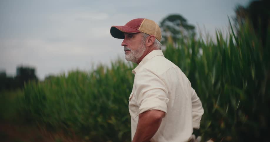 Man looks over the cornfield while assessing the surrounding land