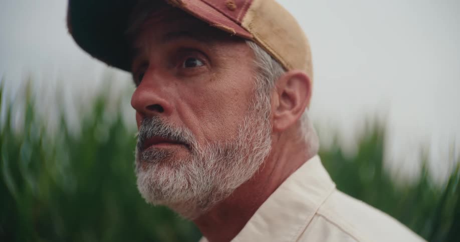 A farmer with a grey beard and a concerned expression looks up at the sky while standing in a cornfield