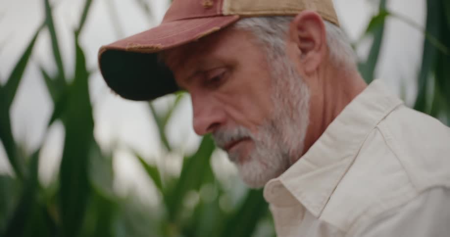 A man types on a tablet computer while standing in a field of crops