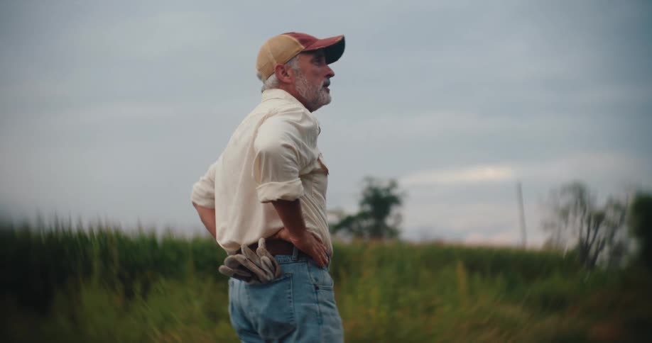 An older male is standing near a cornfield and tall grass with his hands on hiships looking forward thoughtfully