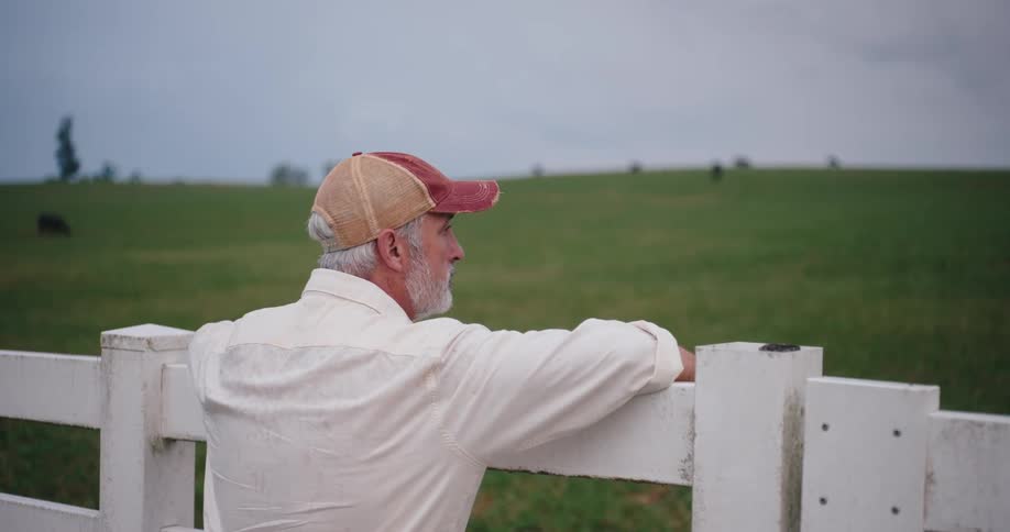 An older man with a white beard wearing a white collared shirt and a twotoned baseball cap leaning his elbows on a white wooden fence as he quietly gazes out across a vast lush green field under an overcast sky