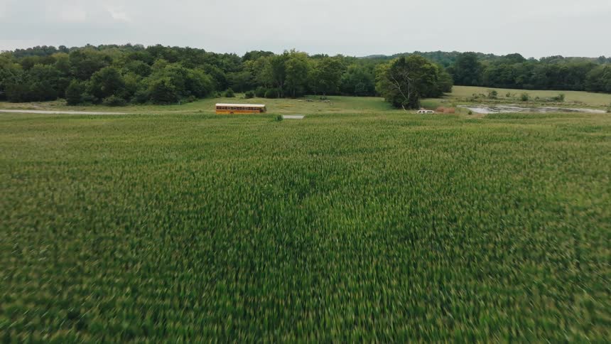 A bus and some cars pass along a road next to some farmland