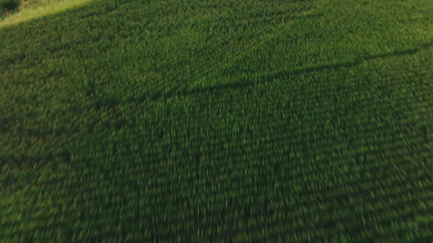 A creek runs through large fields full of crops