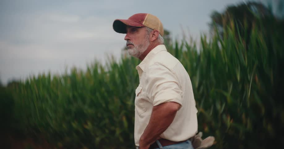 A pensive farmer pauses beside his cornfield adjusts his cap and looks out thoughtfully