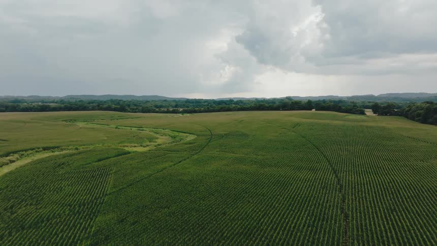 Cultivated fields stretch toward the forest under a cloudfilled sky