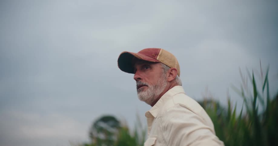 Man observes the cornfield while walking along the field