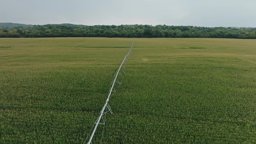 An aerial view shows a vast green cornfield with a long irrigation system