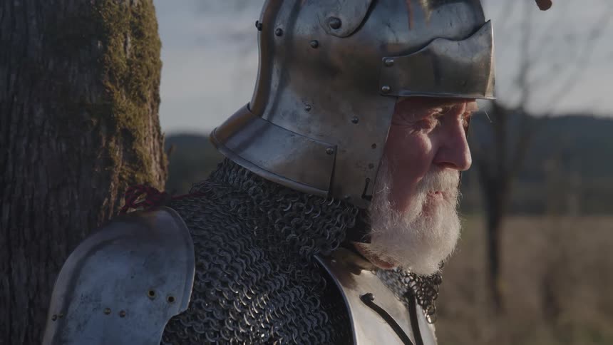 Elderly man in medieval armor with white beard beside tree gazing thoughtfully at the landscape