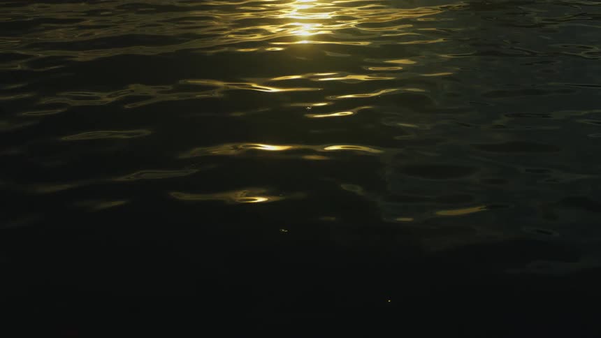 The surface of the water with some ripples and sunlight hitting the small waves
