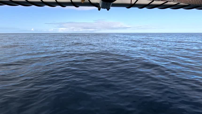 A net is hanging off the boat in the ocean