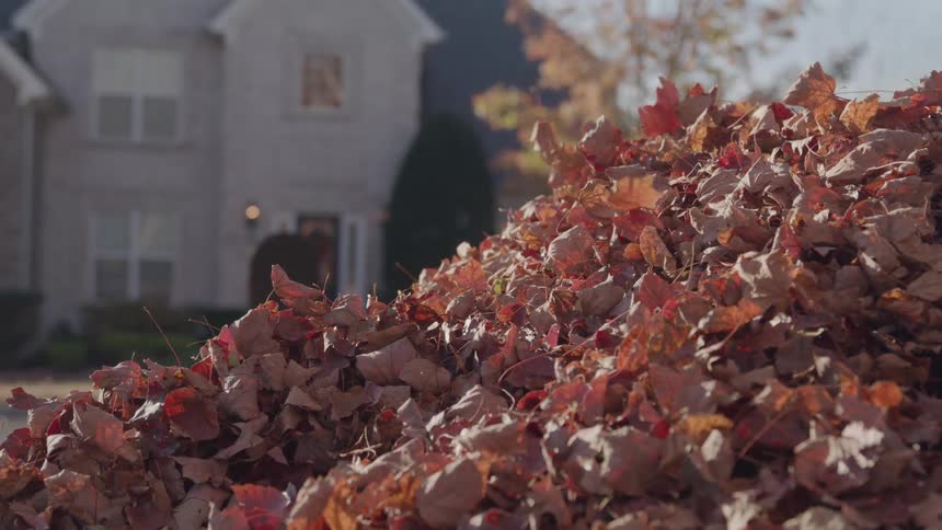 Pile of dry leaves gathers in front of a house in the background