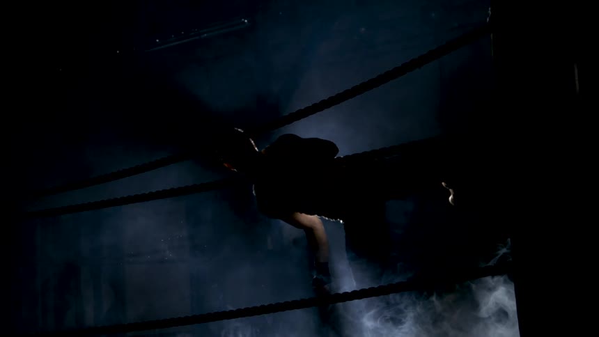 A silhouetted mixed martial artist performs a powerful kick in a dark smoky ring in slow motion