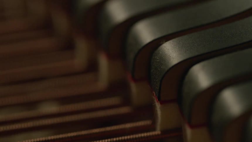 The piano strings are moving inside