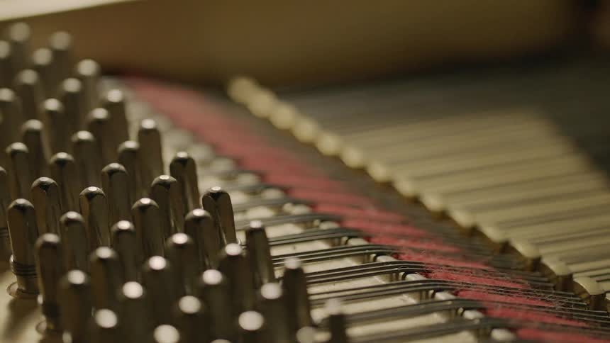 The inside of a piano has many strings