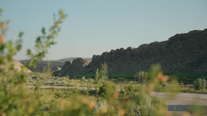 The video shows a static outdoor scene of a rugged arid landscape dominated by low rocky mountains or hills in the background under a pale blue skythe foreground features green and brown brush and foliage some of which is blurred with a dirt road o