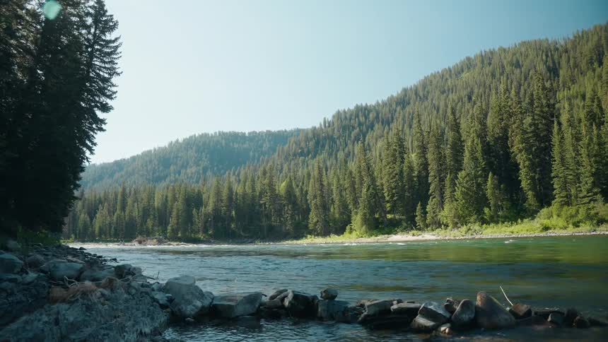 River running through a forested mountain valley