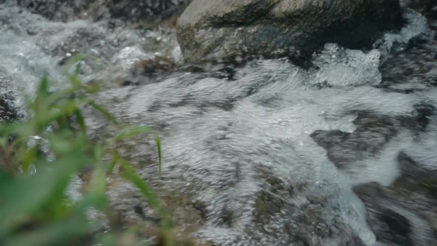Fast moving water rushes over rocks creating white foam near blades of green grass
