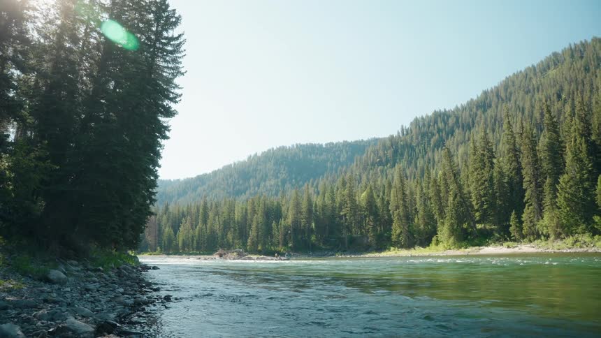 The stream runs past the big forest on the hills