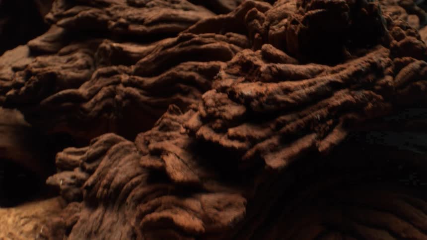 Organic texture displays natural erosion patterns
