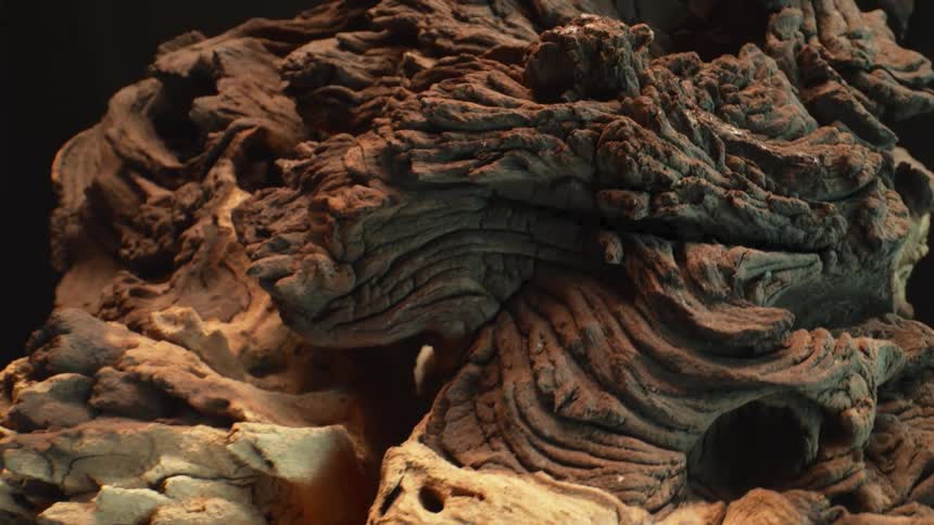 Eroded wood texture with deep grooves and earthy tones