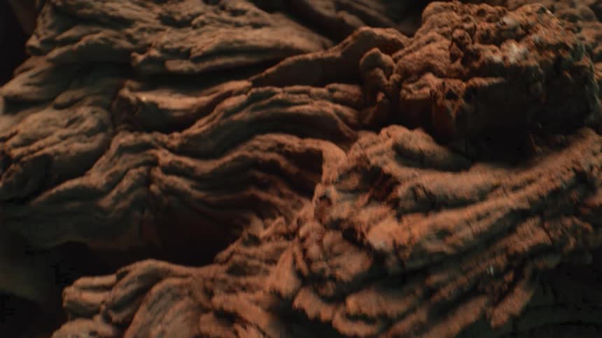 Rough texture of dark heavilygrooved driftwood or bark with swirling grain patterns creating an abstract earthy texture