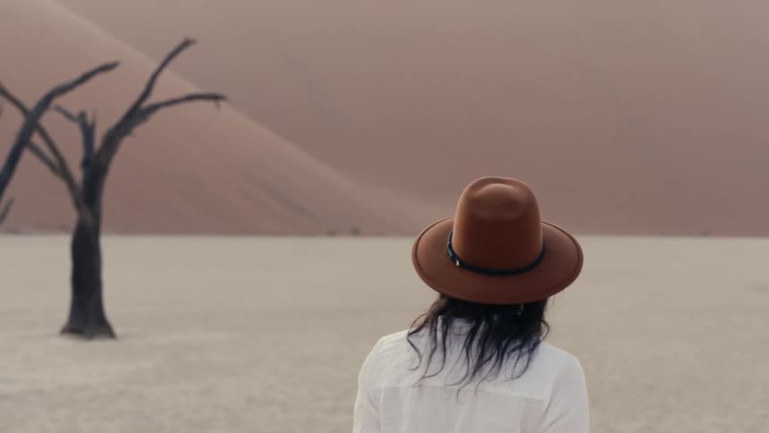 The woman walks in the desert