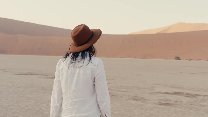 A person walks across a vast desert landscape toward distant sand dunes