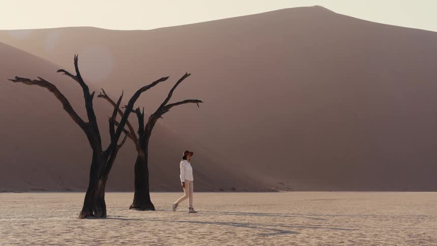 A solitary person dressed in light colors walks purposefully across a bright flat desert clay pan passing two dark skeletal dead trees with a colossal smooth sand dune towering in the hazy background