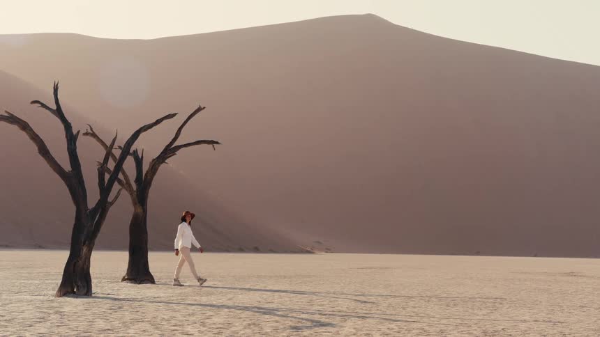 The video captures a striking desert landscape dominated by a massive pale orange sand dune in the background in the foreground two dark skeletal dead trees stand on the cracked white earth as a person walks slowly past them from left to right