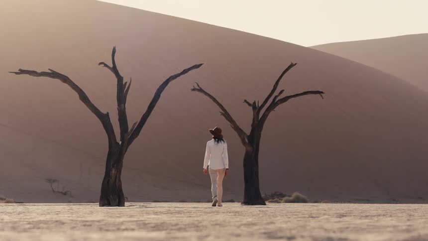 A woman walks across a vast desert floor and stops between two ancient skeletal trees with massive sand dunes rising in the hazy distance