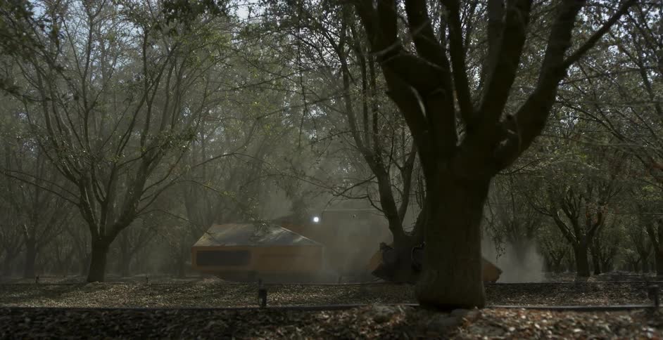 Person using shaker machine on tree in orchard
