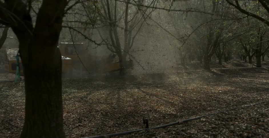 A machine shakes a tree in a field