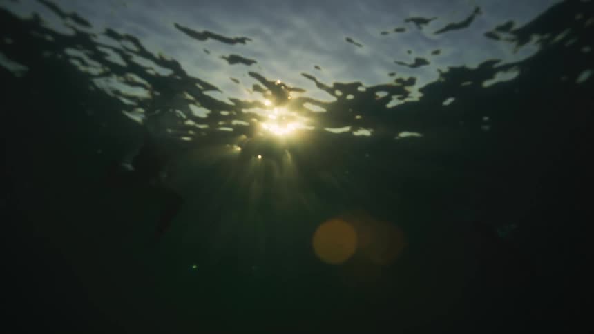 A view of the surface of water from in the water