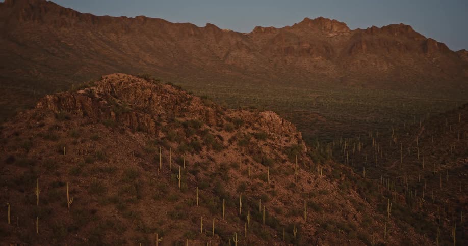 Desert mountains rise sharply over a rocky landscape covered in numerous saguaro cacti