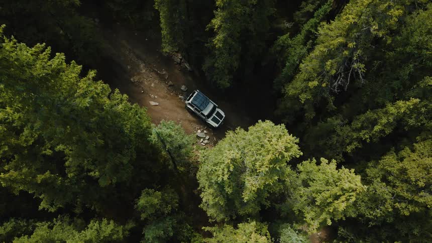 The vehicle is driving through the forest