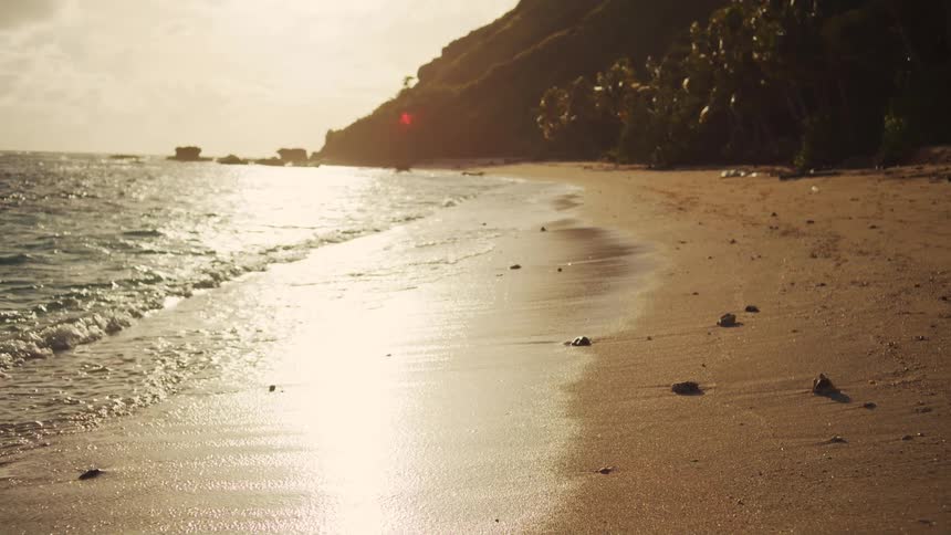 A tropical seashore during daytime